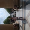 Orgelreise Paris 2025